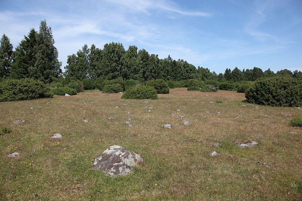 090629-1901 - Alvaret bei Sandby
